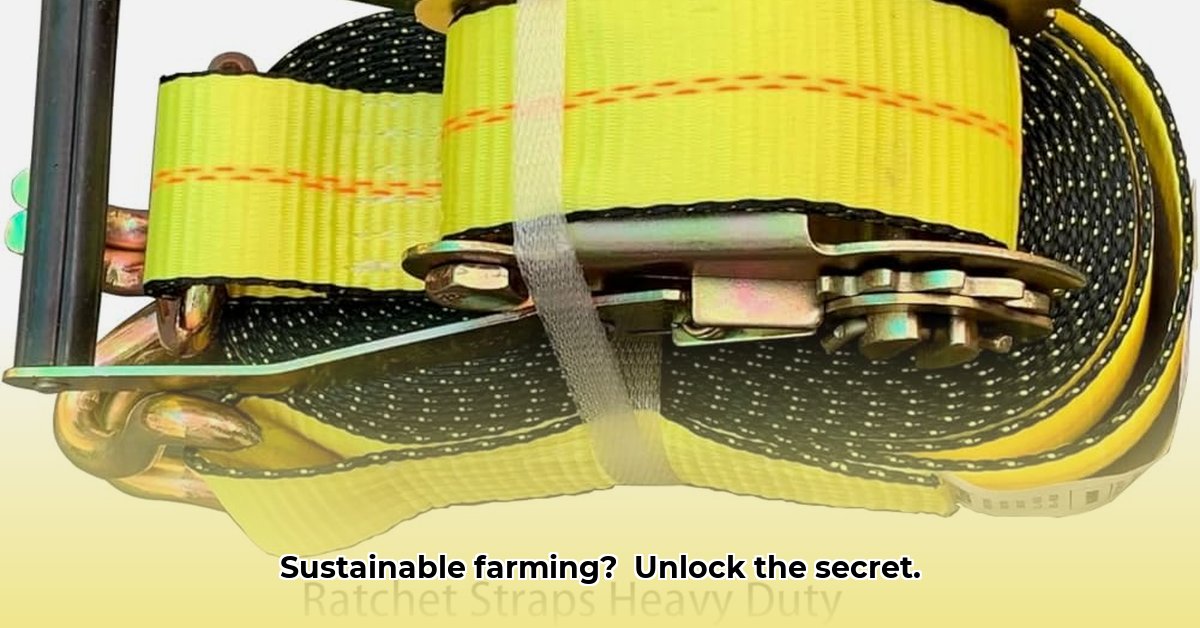 ratchet-straps-tractor-supply